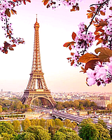 40*50см БЕЗ підрамника "Париж Вишневий цвіт", ТМ АлМазка - Алмазна мозаїка