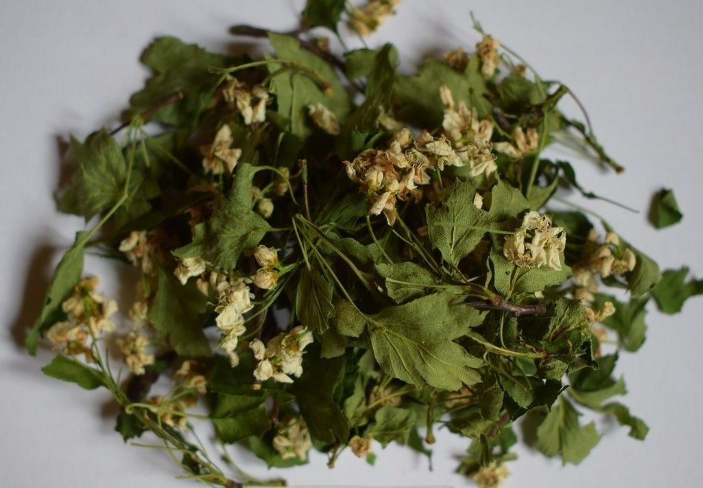 Глід квітки 100 грам, фото 1