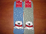 Махрові жіночі шкарпетки "Добра Пара". Р. 23-25 (36-39). Ведмедик, фото 7