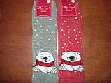 Махрові жіночі шкарпетки "Добра Пара". Р. 23-25 (36-39). Ведмедик, фото 5