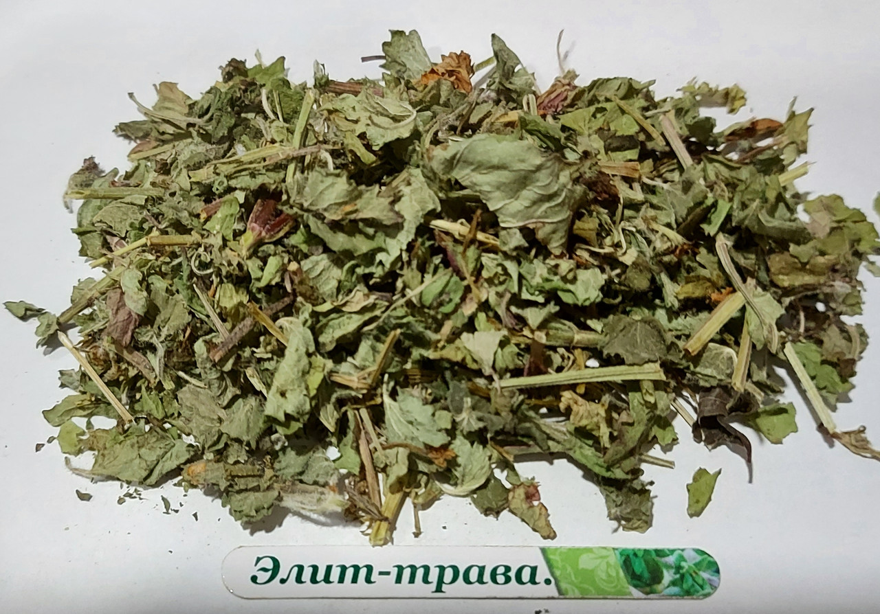 Будра плющевидна трава (котяча м'ята ,розхїдник) 100 грам
