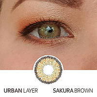 Кольорові контактні лінзи Urban Layer Sakura Brown