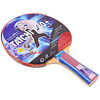 Ракетка для настільного тенісу GIANT DRAGON TAICHI P40+ 3* MT-6508