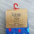 Шкарпетки чоловічі новорічні демісезонні високі з дорогого бавовни "EKMEN" 41-46р. 30033194, фото 8