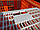Ящик Piedmont Coop для перевезення індиків, гусей, качок 770х580х420мм, фото 2