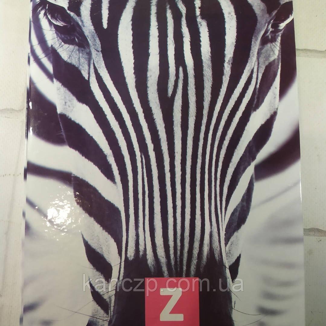 Книга амбарна .А4/192ар. (клітинка), фото 1