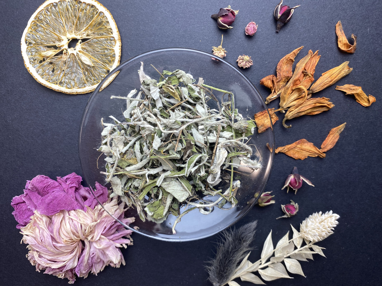 Ястребинка волосистая трава: продажа, цена в Харькове. Сушеные цветы ...