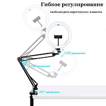 Настільний тримач для предметного фото/відеознімання з підсвічуванням кільцевою лампою (10 W) PULUZ PKT3090B, фото 2