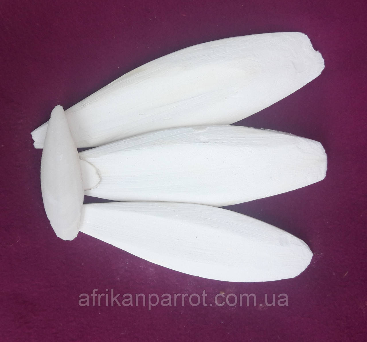 Сепія для птахів'Кість каракатиці' (15см), фото 1