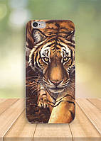 Чехол на iPhone 6S PLUS Тигр