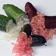 Лайм Фінгер, (Citrus australasica, Finger Lime) пальчиковий лайм, цитрусова ікра. Кімнатний