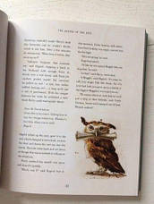 Книга Harry Potter and the Philosopher's Stone (Illustrated Edition) Jim Kay / ISBN: 9781526602381, фото 3