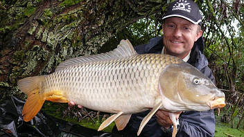 Коропові прикормки HALDORÁDÓ