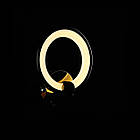 Світлодіодне бра 24 Вт чорний хром на три режими VL-BK348/1 LED (ZBK), фото 3