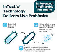 Klaire labs THER-BIOTIC PRO IBS RELIEF / ТЕРБІОТИЧНИЙ PRO IBS РЕЛЬЄФ 21 капсула. BX210, фото 5