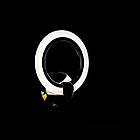 Світлодіодне бра 16 Вт хром на три режими VL-K346/1 LED (CHROME), фото 3