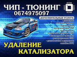 Чіп Тюнінг Перепрошивка Євро 2 Вирізка каталізатора Check Engine Stаge1