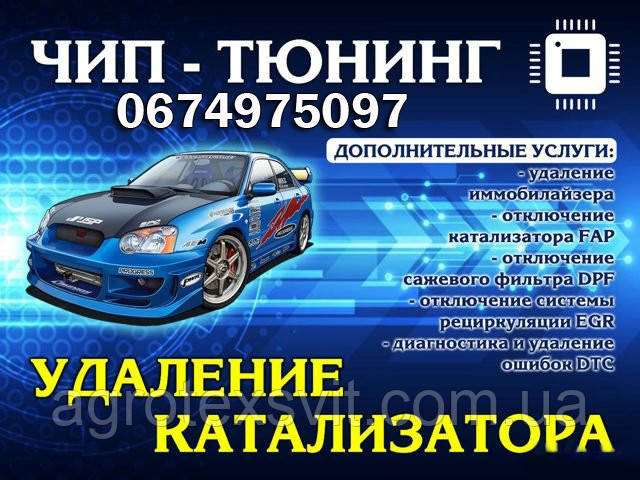 Чип Тюнинг Перепрошивка Евро 2 Вырезка катализатора Check Engine Stаge1 - фото 1 - id-p1512624059