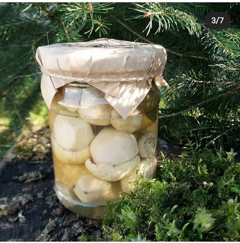 Купить Грибы белые маринованные 0,5 л, цена 300 ₴ — Prom.ua (ID#1512845207)