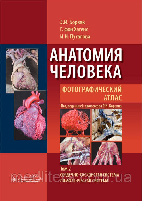 Борзяк Анатомия Человека. Фотографический Атлас. Учебное Пособие в 3-х ...