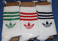 Шкарпетки чоловічі 42-45 розмір,високі,білі. 6 пар.