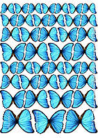 Вафельна картинка Метелики №1 Блакитні