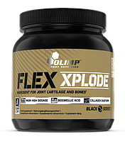Olimp Flex Xplode 504g