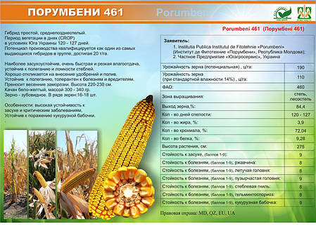 Насіння кукурудзи Порумбінь МРФ 461 ФАО 330, жаростійка молдавська кукурудза, фото 3