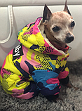 Зимовий одяг для собак, Комбінезон DogBaby, фото 8