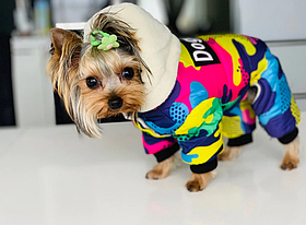 Комбинезон для собак Dogbaby