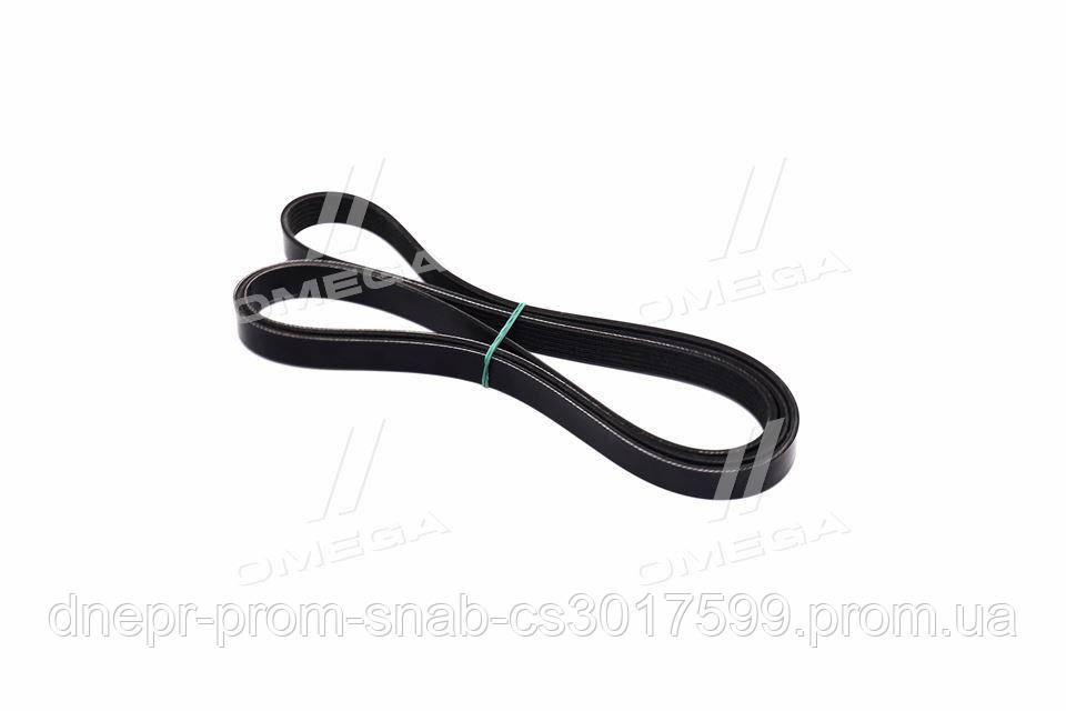 Поліклинові ремінь (пр-во DAYCO) 6PK2150S (skl-dp)