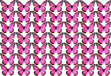 Вафельна картинка Метелики 7