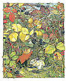 Ожиновий живопліт. Осіння історія., фото 5