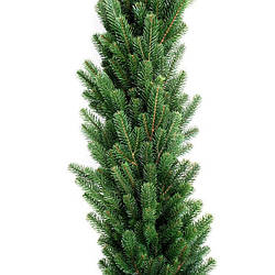 Гірлянда густа із хвої Еліт 3 м лита (Зелена)