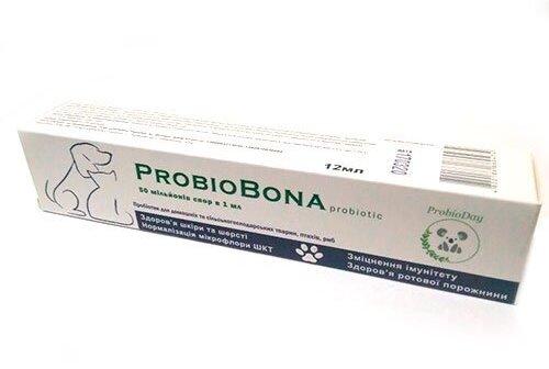 ПробиоБона ProbioBona пробіотик, шприц 12 мл