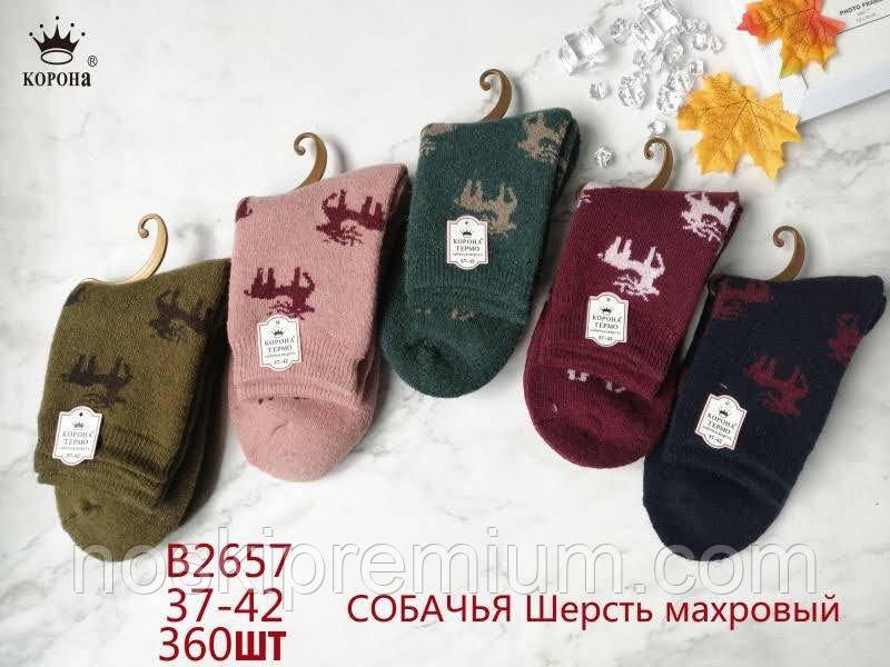 Шкарпетки жіночі махрові собача шерсть Корона, розмір 37-41, асорті, 2657, фото 1