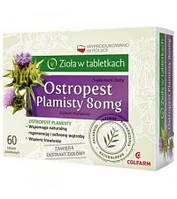 Ostropest plamisty - расторопша для здоровья печени, 80 мг, 60 кап.
