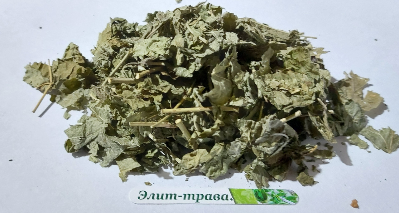 Ожина лист 100 грам