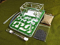 Формикарий акриловый зеленый (муравьиная ферма) + муравьи жнецы Messor Structor