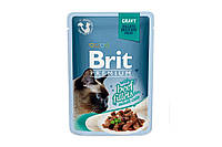 Влажный корм для кошек Brit Premium Cat Beef Fillets Gravy pouch 85 г, с филе говядины в соусе