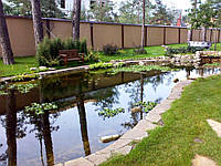 Водойми на ділянці біля будинку