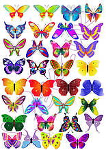 Вафельна картинка Метелики 15