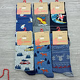 Шкарпетки чоловічі високі весна/осінь р.41-46 новорічні асорті "EKMEN" бавовна 30033193, фото 5