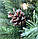 Штучна ялинка "Каліна" висота 1,80 м. З білим напиленням (засніжені кінчики)., фото 4