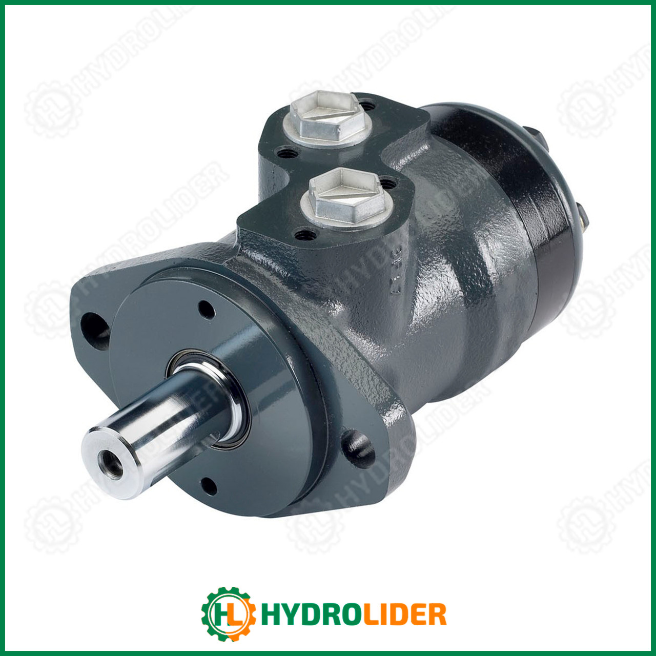 Героторний гідромотор M+S Hydraulic MR 250 SA, фото 1