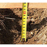 Дискатори Д-10, фото 2