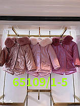 Куртки зимові для дівчаток оптом, розміри 1-5 років, Seagull ,арт. 65109