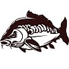 zonefishing.com.ua