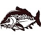 zonefishing.com.ua