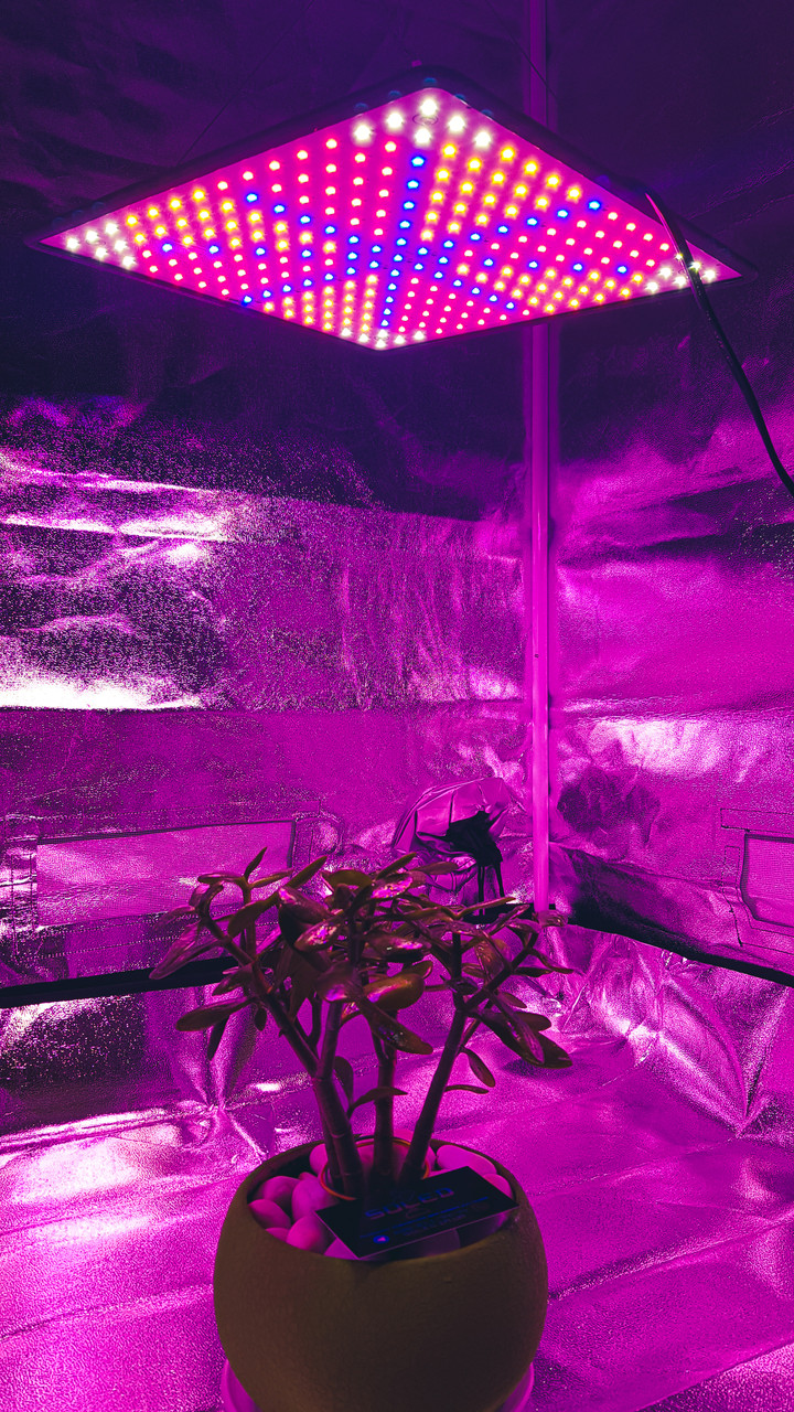 250W 225LED. Фітолампа для рослин. (Повний спектр. Гроубокс. Розсада. Лампа для растений Парник) Soled.in.ua